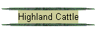 Highland Cattle