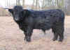 Balach Dubh of Clach Na Gruagach_1.jpg (174132 Byte)