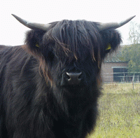 Nighean Dubh III. von Jiggel