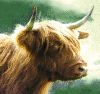Nighean Ruadh von Jiggel