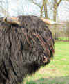 UilleamDubh_19_200.JPG (11429 Byte)